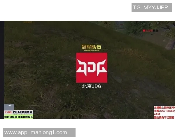 和平精英深度解析JDG战队的游戏节奏与战术布局